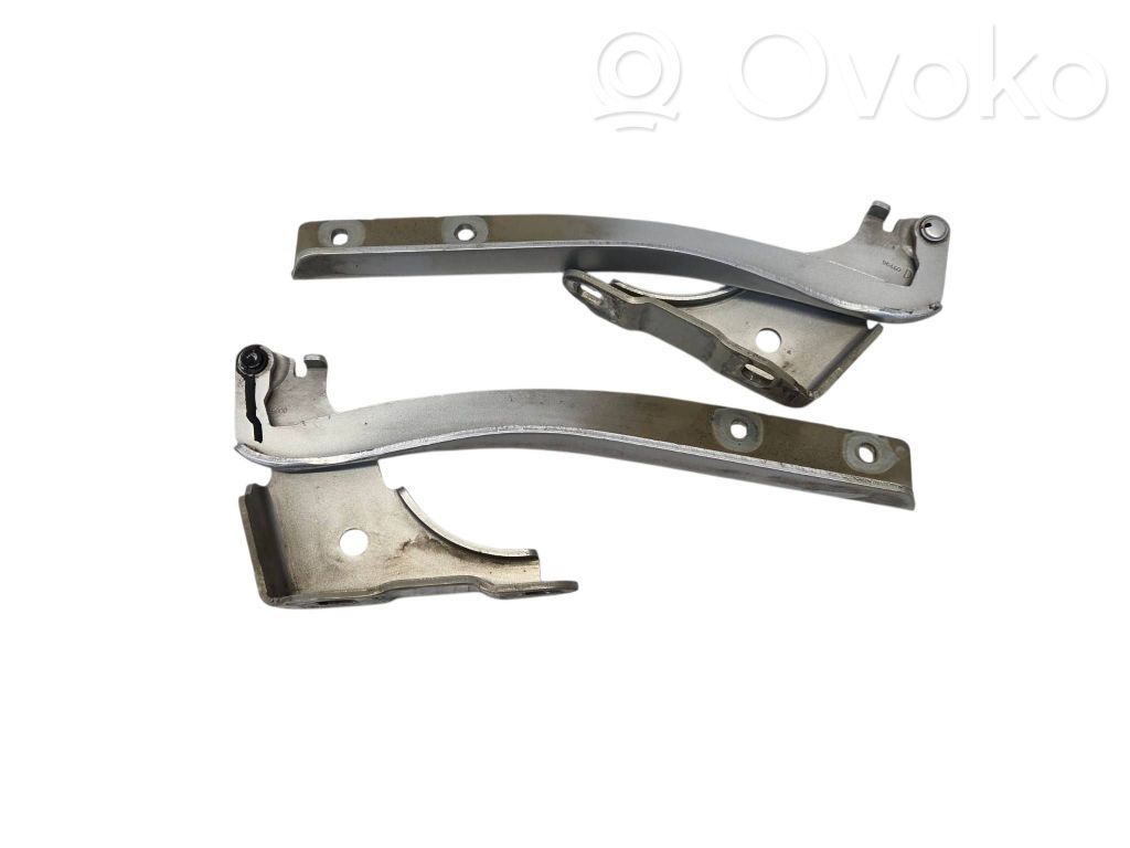 Fiat Punto Evo Balamale capotă 