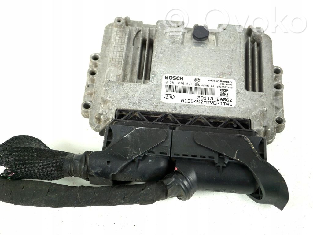 Galios (ECU) modulis   0281016571