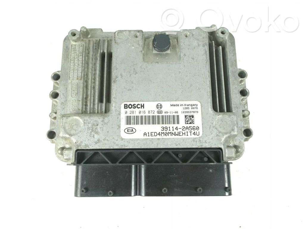 KIA Ceed Galios (ECU) modulis 