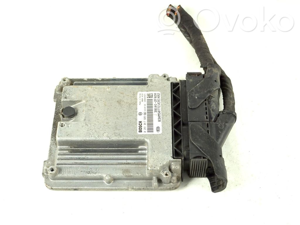 Engine control unit/module ECU   0281017609,0281017609,391012F020