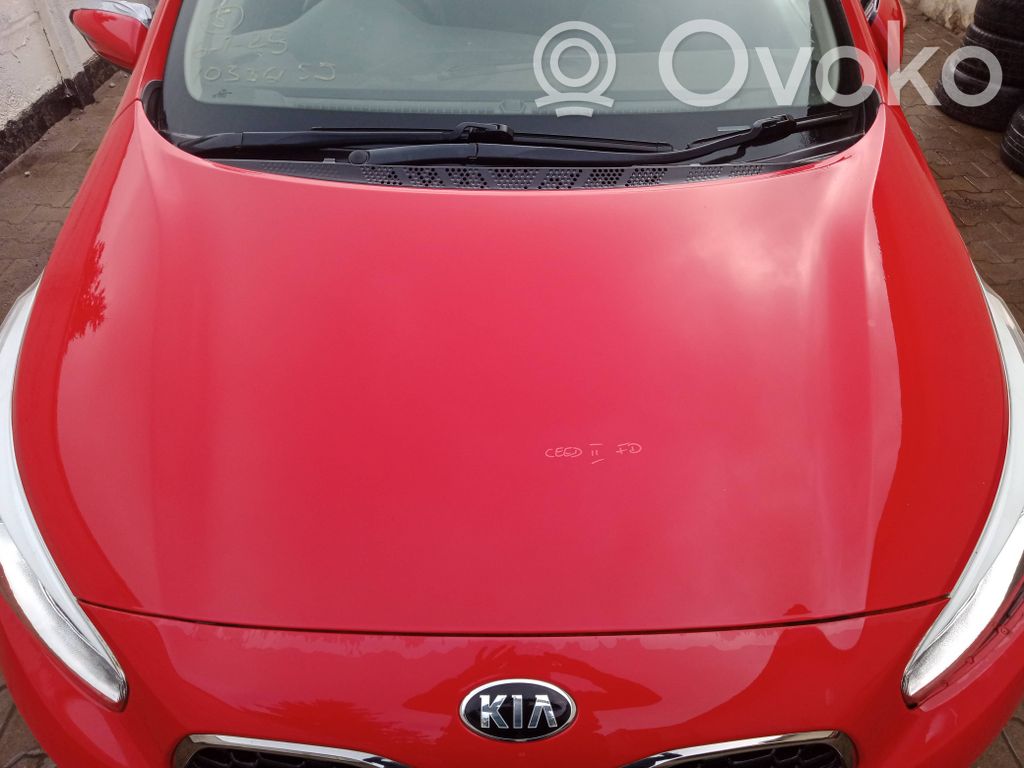 Engine bonnet/hood