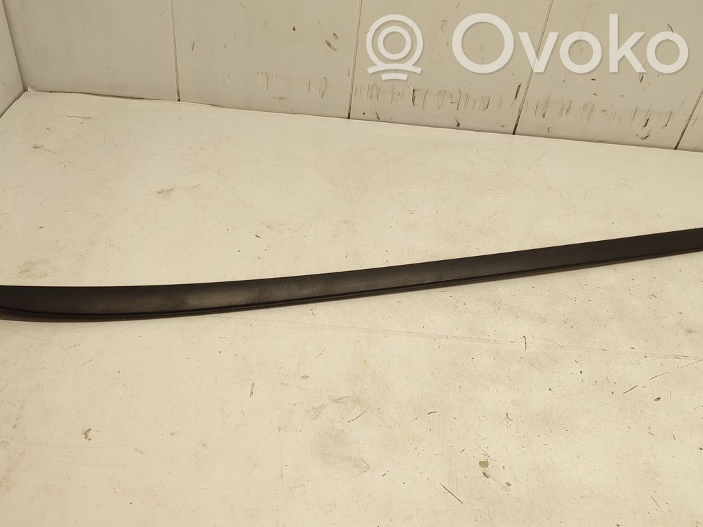Ford Focus Windshield trim 