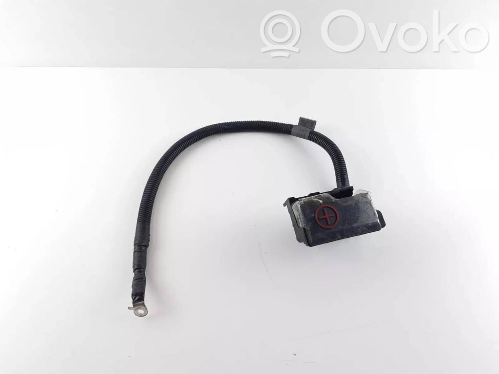 KIA EV6 Pliusinis laidas (akumuliatoriaus) 