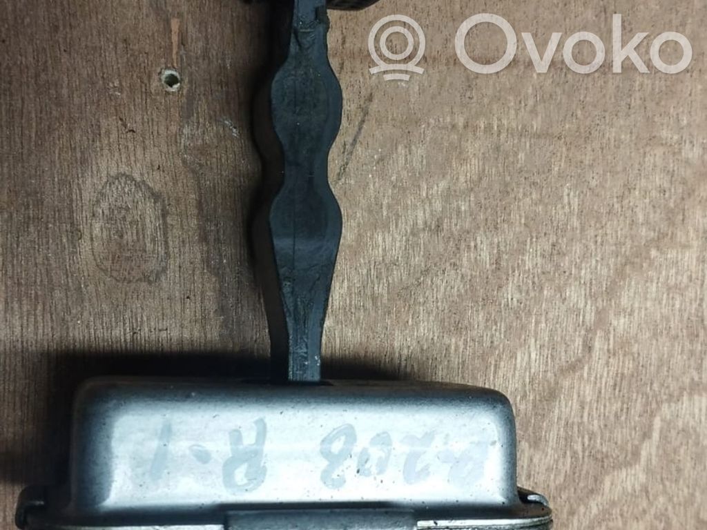 Peugeot 208 I Front door check strap stopper 