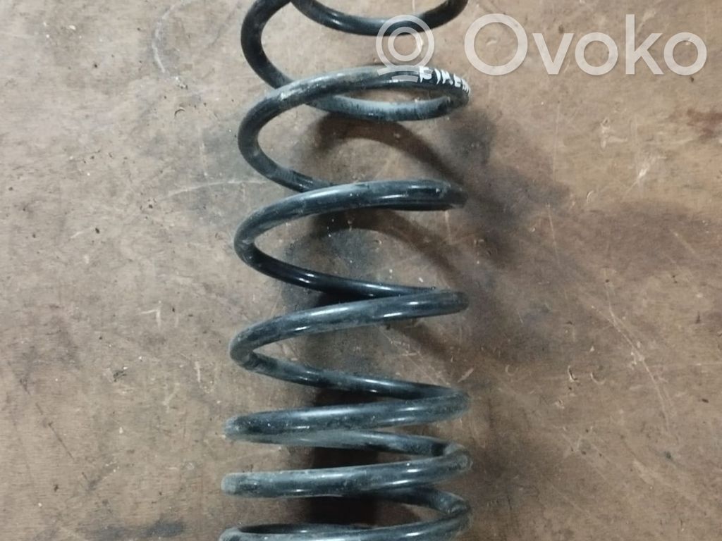 Rear coil spring