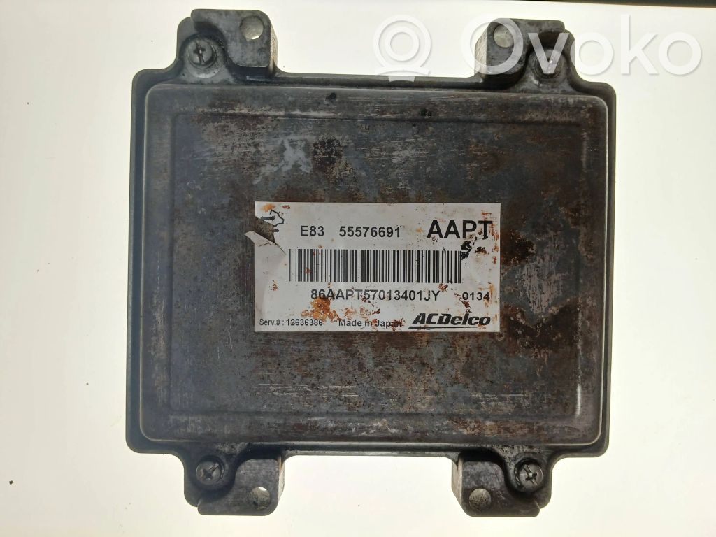 Engine control unit/module   55576691,12636386