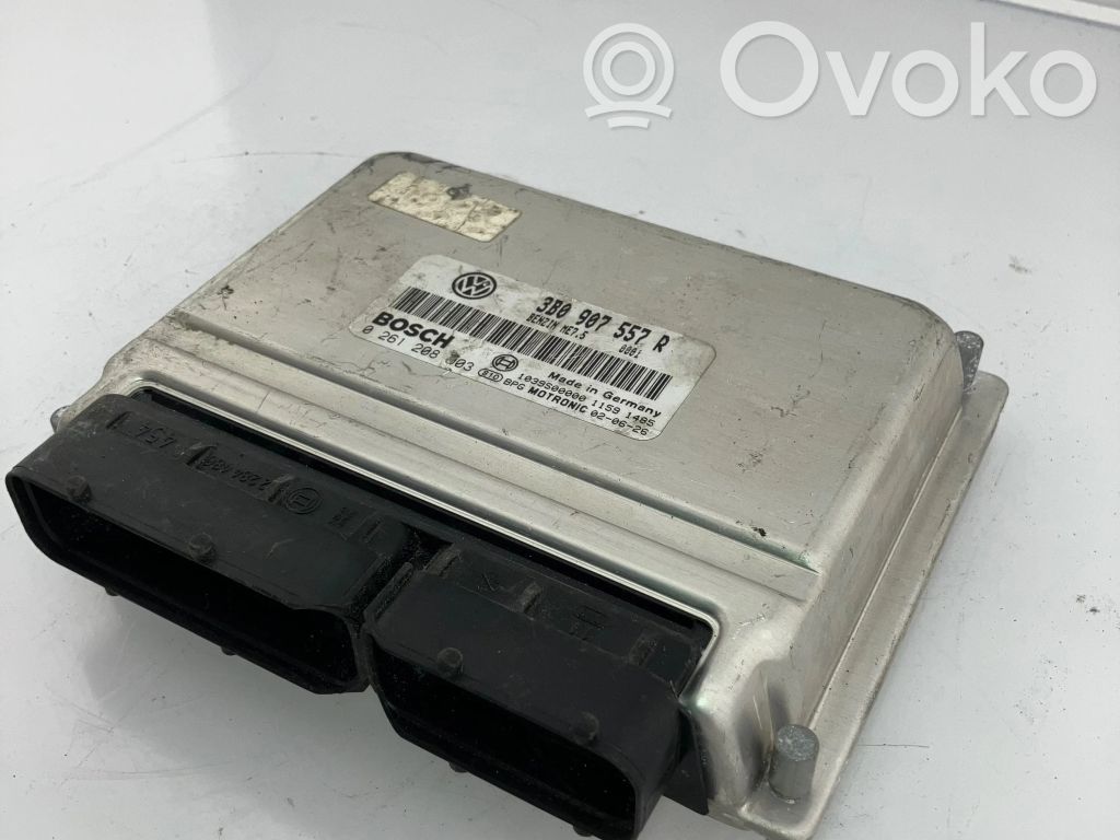 Volkswagen PASSAT B5.5 Engine control unit/module 