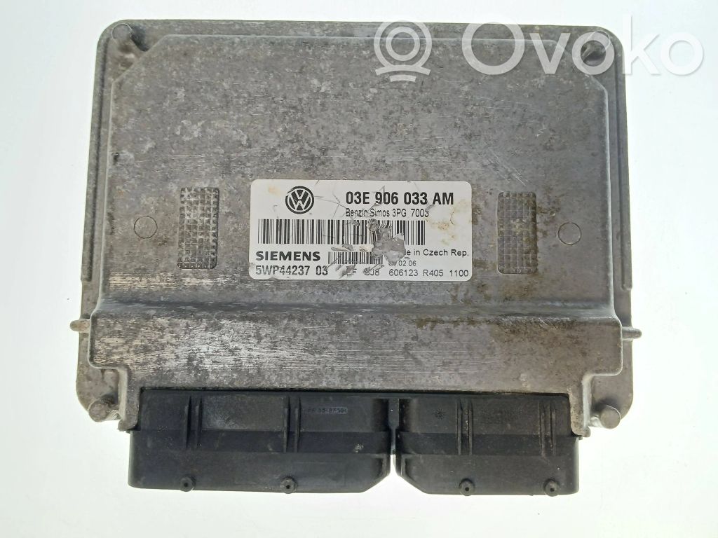 Seat Ibiza III (6L) Engine control unit/module 