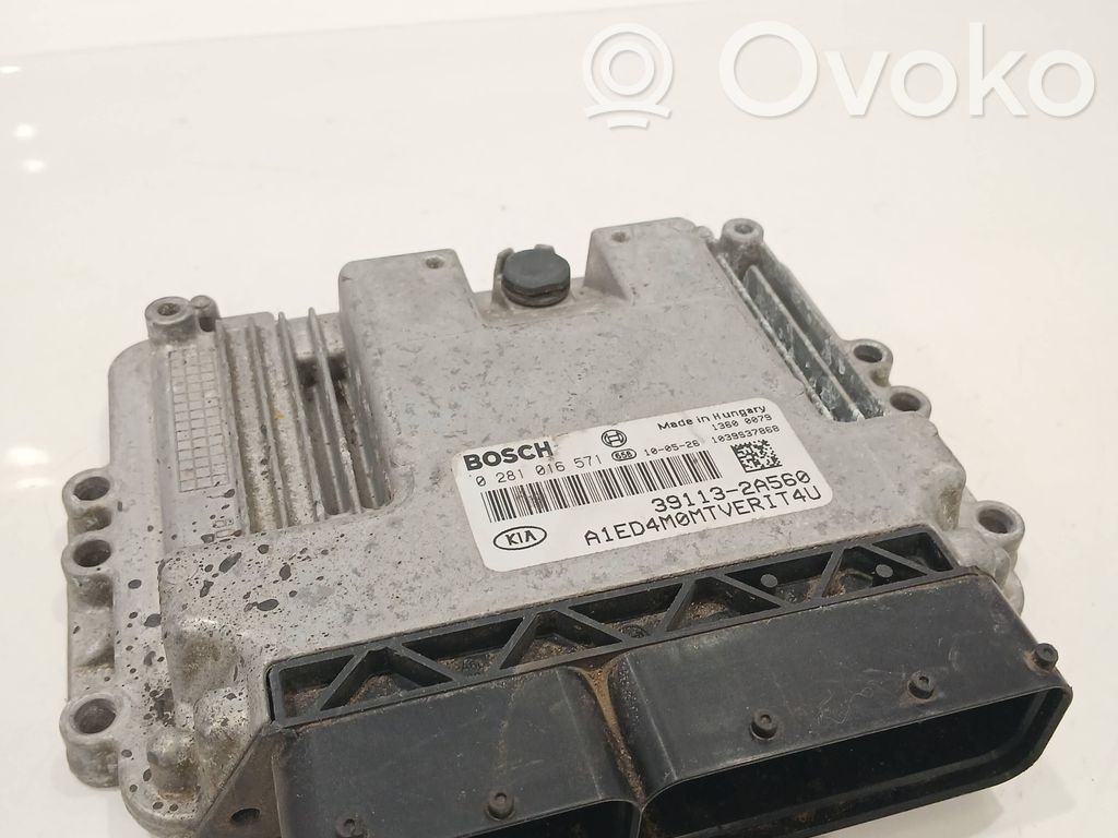 Engine control unit/module   391132A560,0281016571,1039S37868