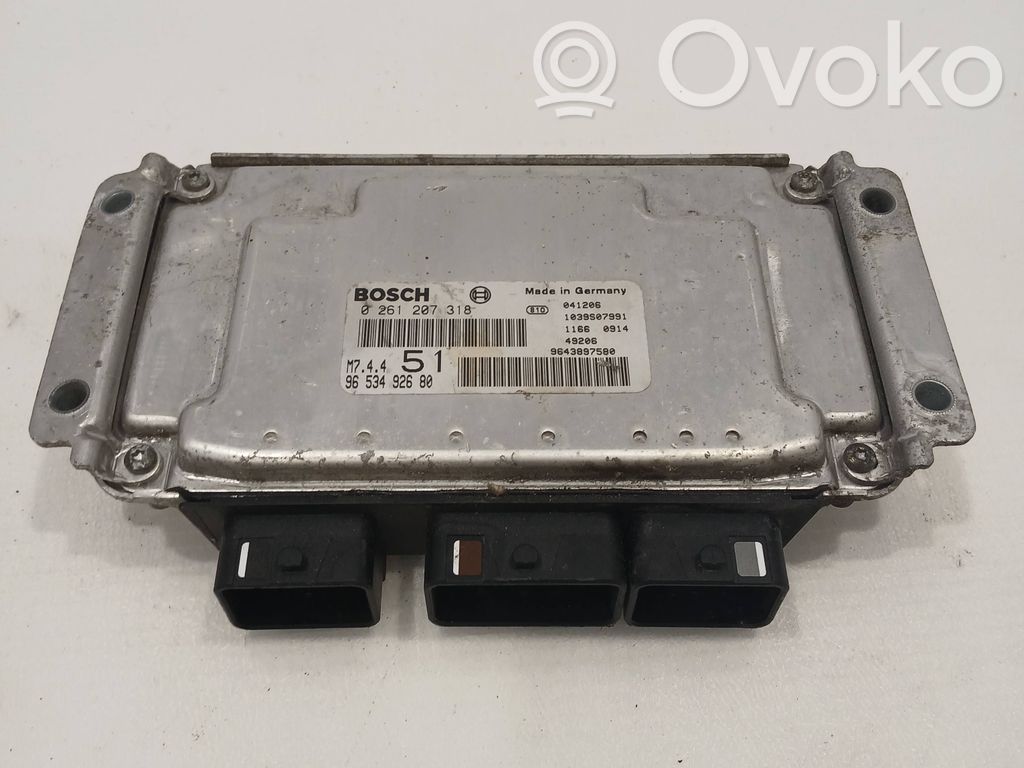 Engine control unit/module   9653492680,0261207318,9643897580