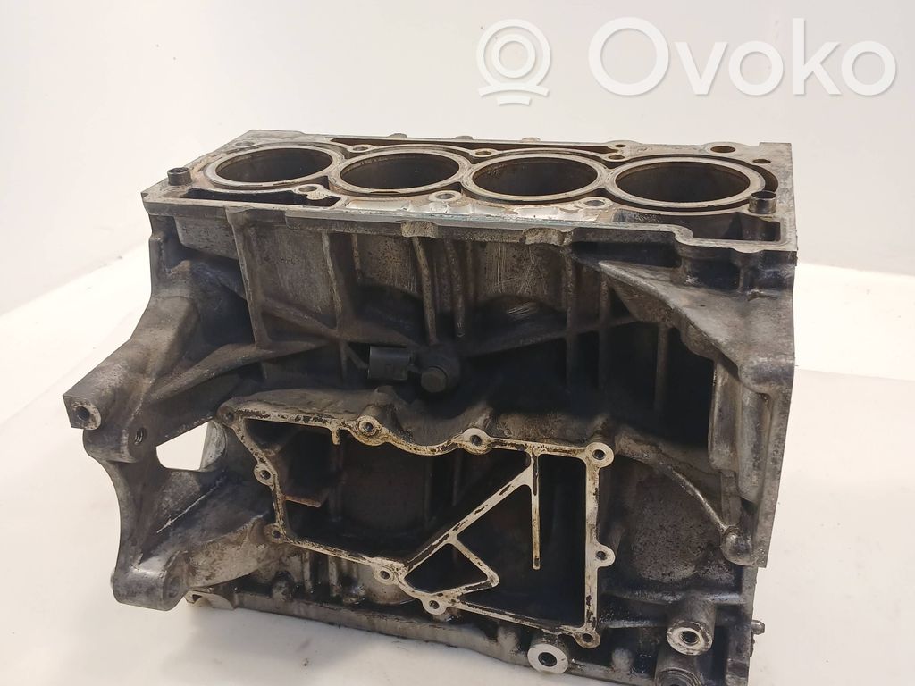 Seat Ibiza IV (6J,6P) Engine block 