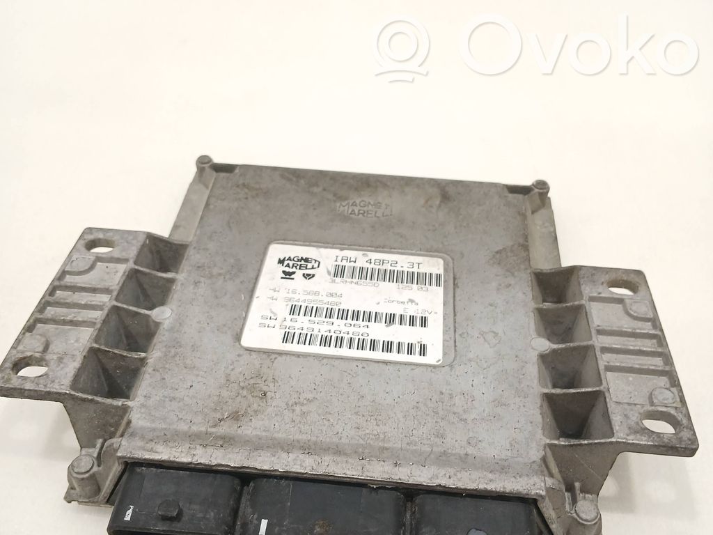 Peugeot 206 Engine control unit/module 