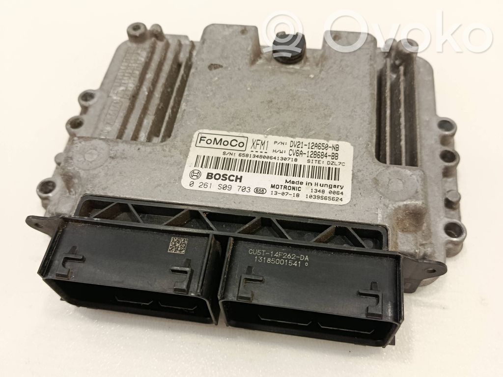 Ford B-MAX Engine control unit/module 
