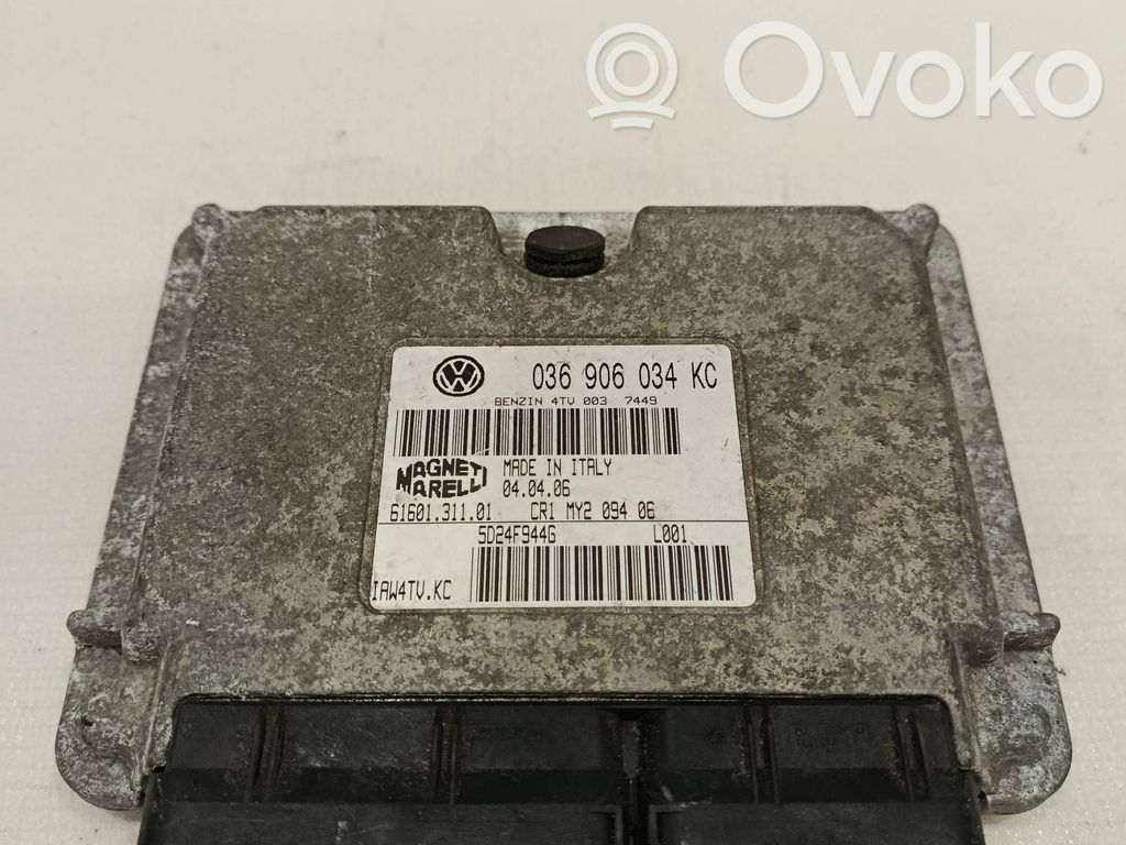 Seat Ibiza III (6L) Engine control unit/module 