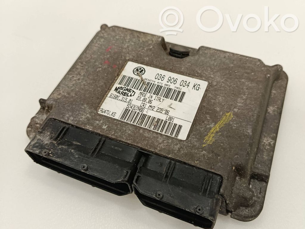 Volkswagen Polo IV 9N3 Unitate/modul de control motor 