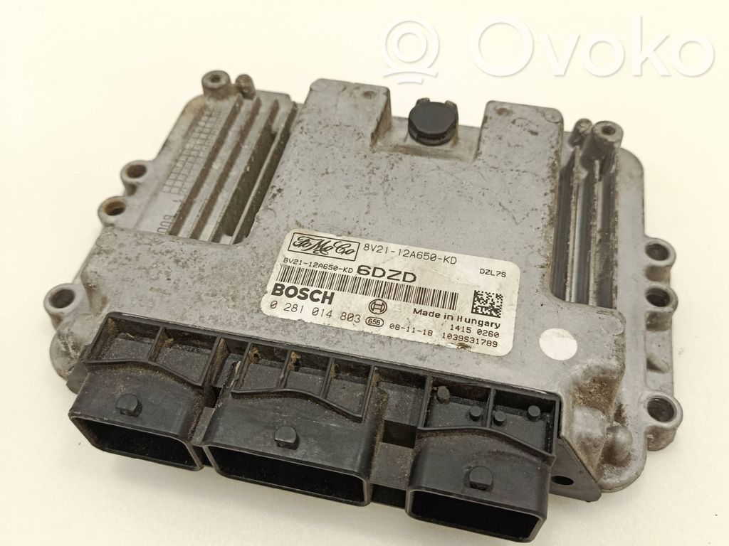 Ford Fiesta Engine control unit/module 