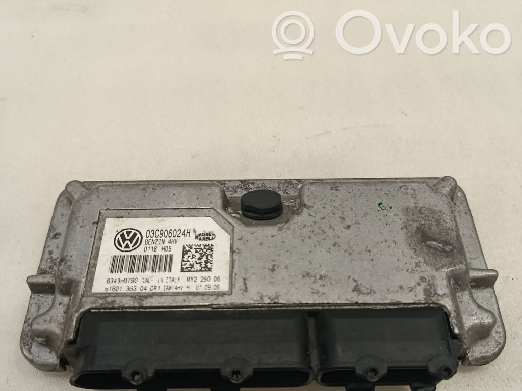 Seat Cordoba (6L) Engine control unit/module 