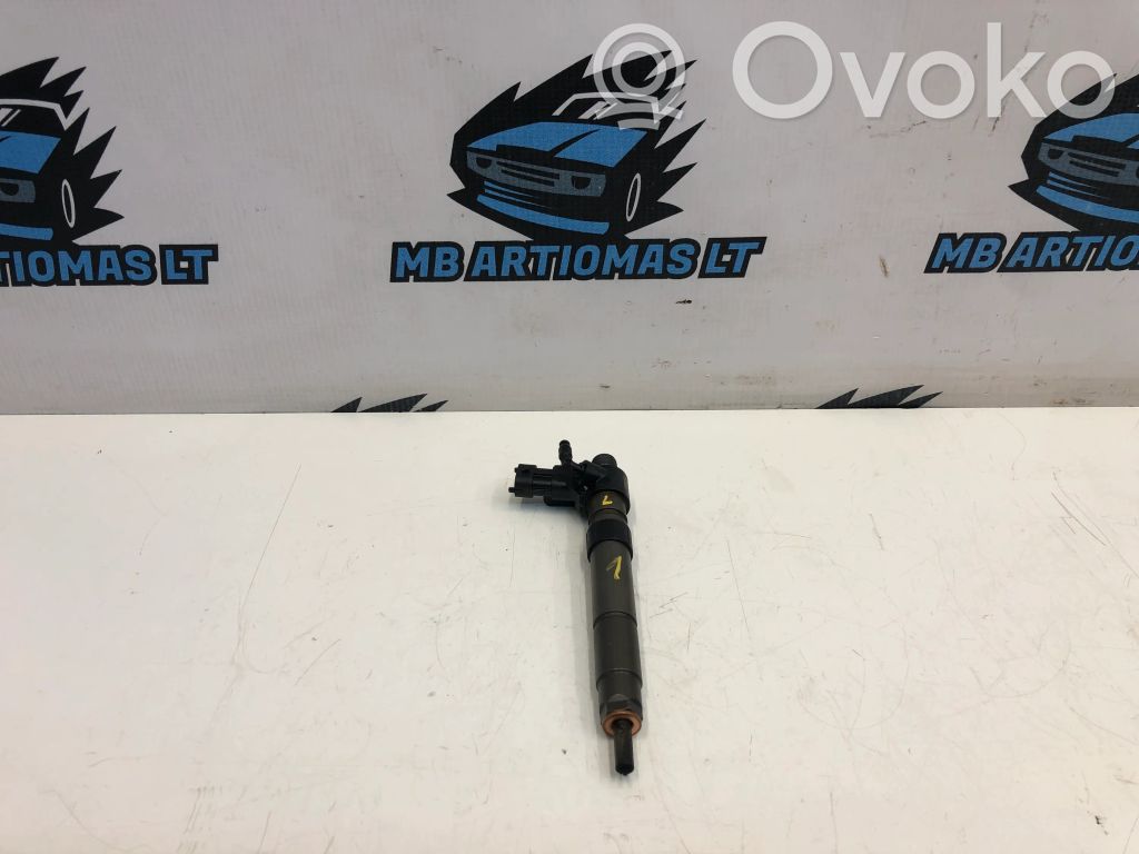 Land Rover Freelander 2 - LR2 Inyector de combustible 