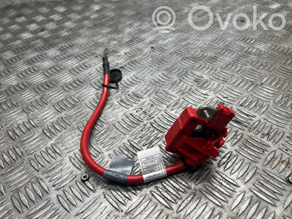 Plusa vads (akumulatora)   9217031,EEN74Y,10304410