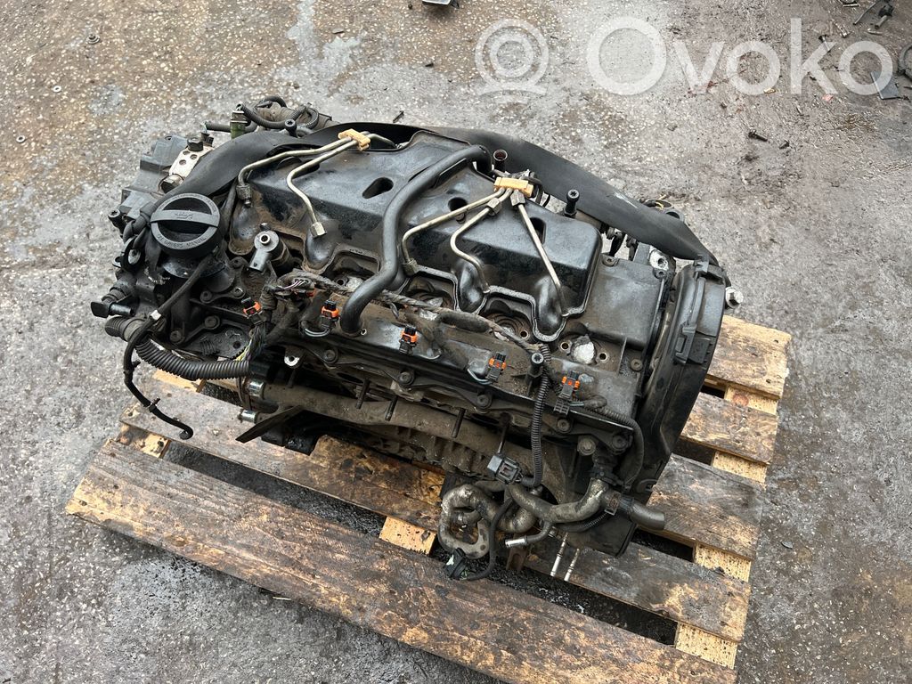 Variklis   D5244T,6906006
