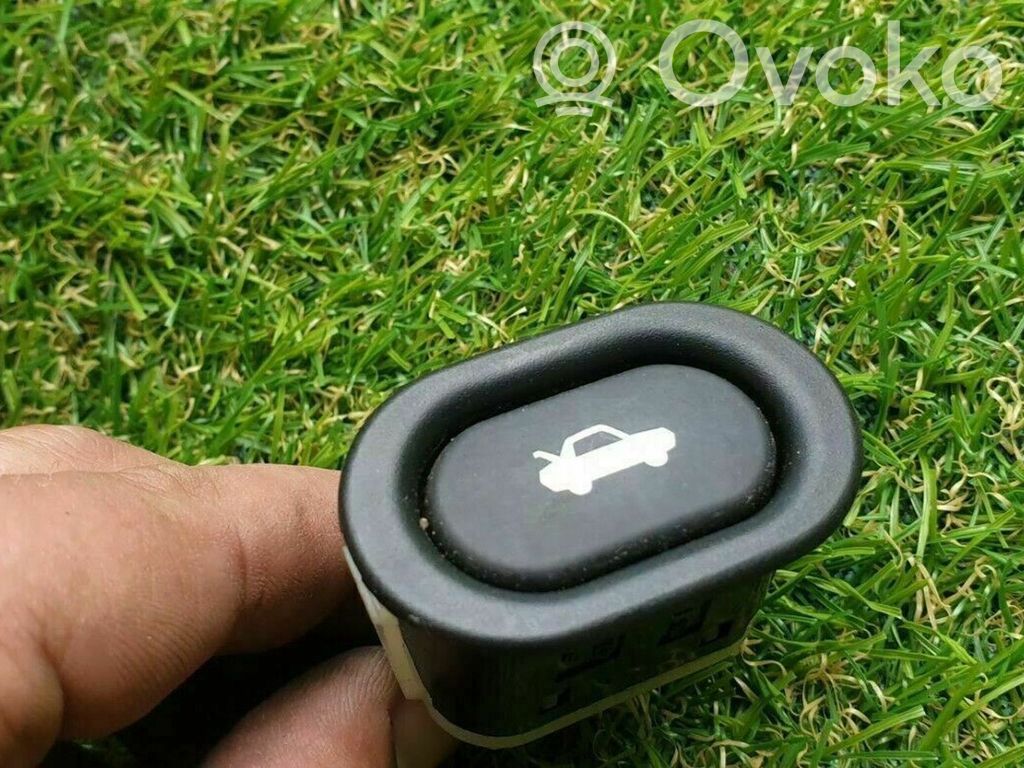 Tailgate opening switch   4733440