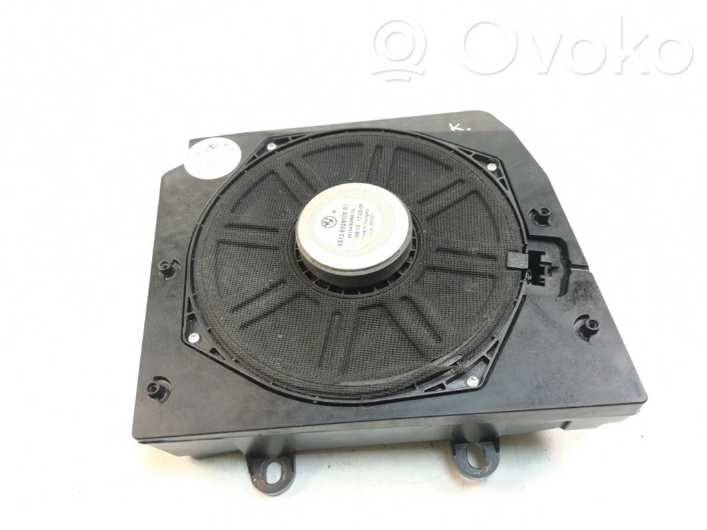 Subwoofer speaker   6990101,6929100