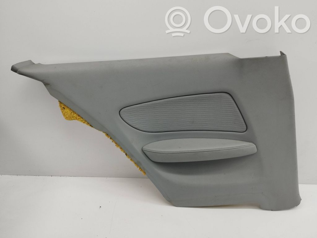 Rear door card panel trim   6975355,3223853,9121357
