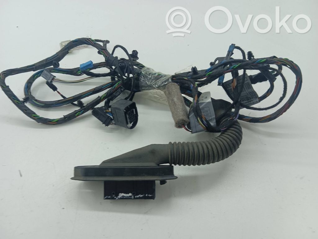 BMW X5 E70 Cableado de puerta trasera 