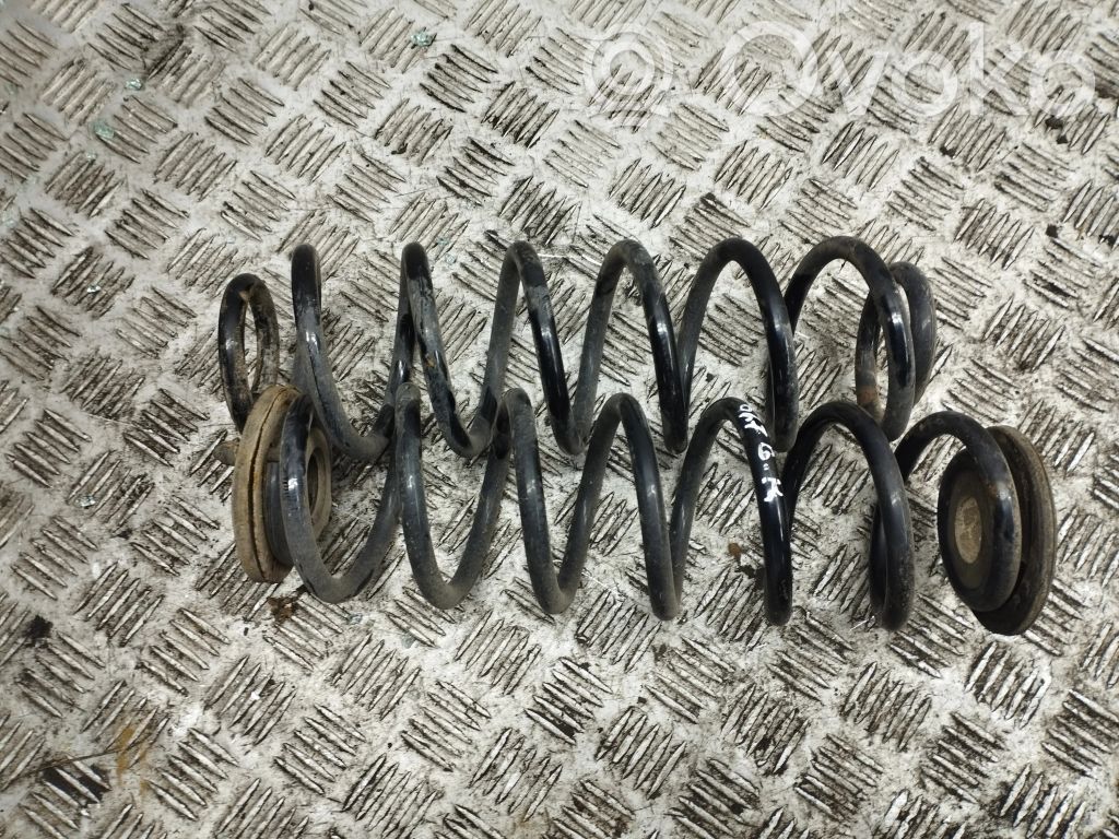 Rear coil spring