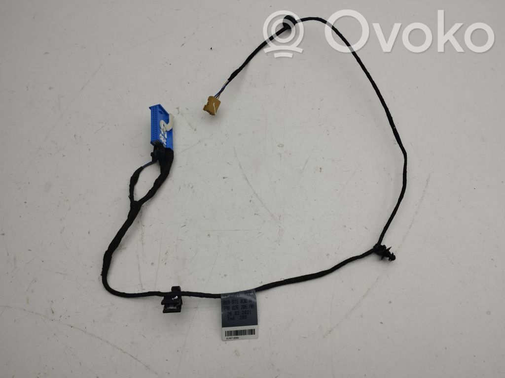 Audi Q2 - Cableado de puerta delantera 