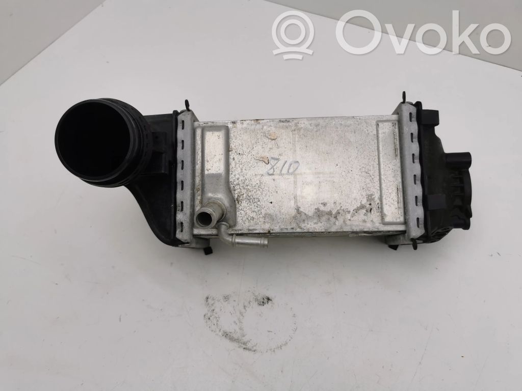 Skoda Octavia Mk4 Radiator intercooler 
