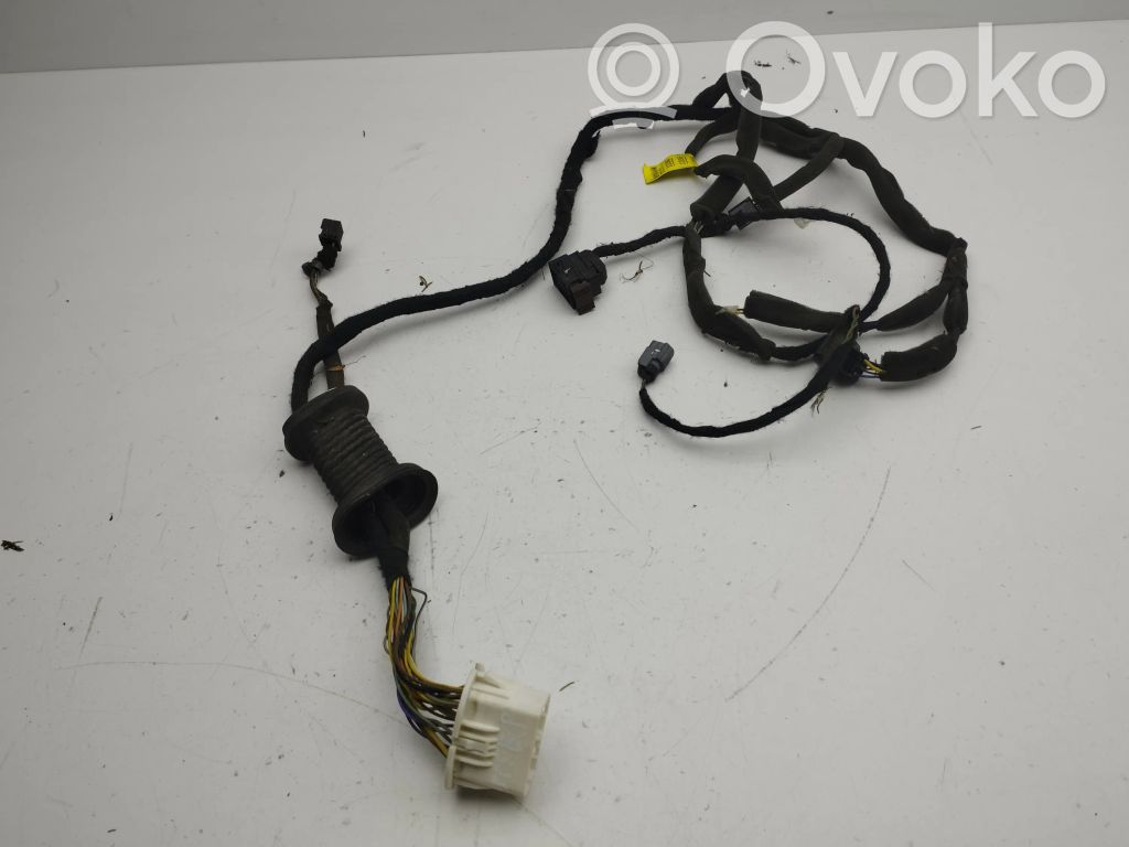 Opel Antara Cableado de puerta delantera 
