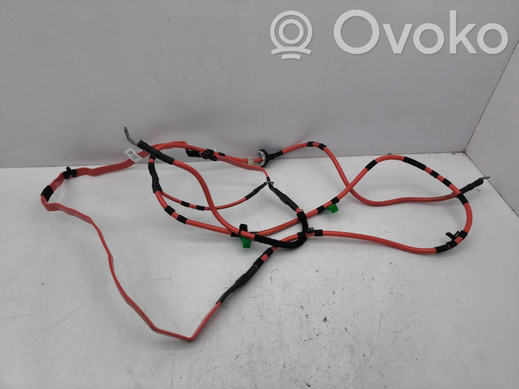 Cable positivo (batería)   8W2971225B