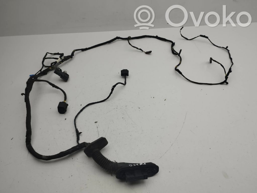 Cableado de puerta delantera   9807756