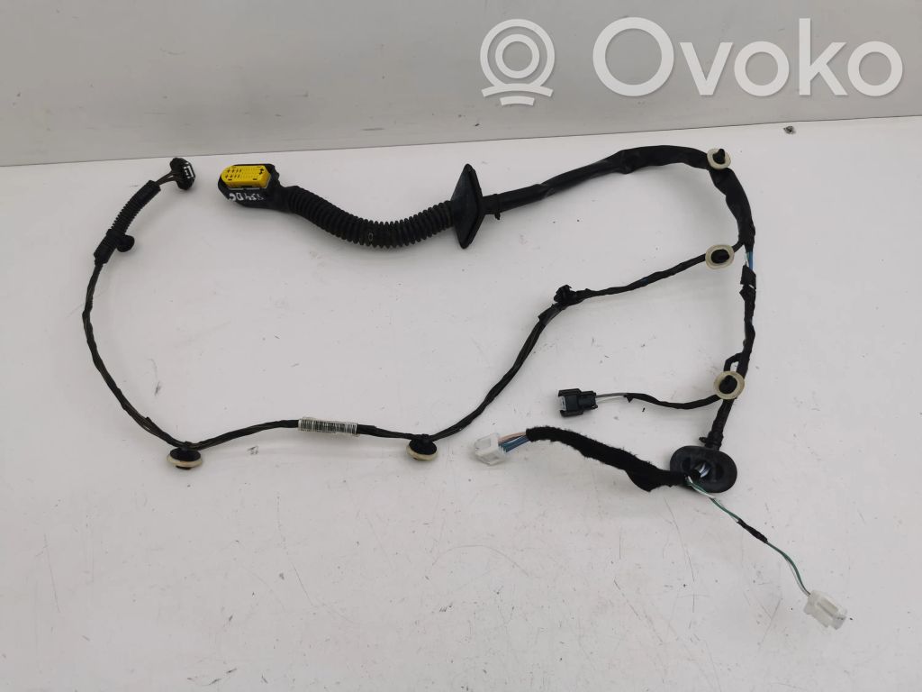Cableado de puerta trasera   241267776R