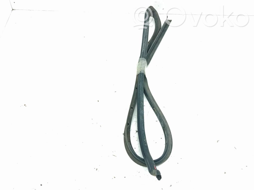 Junta de goma de la puerta trasera