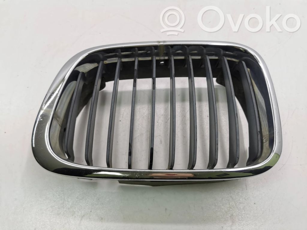 BMW 3 E46 Augšējais režģis 