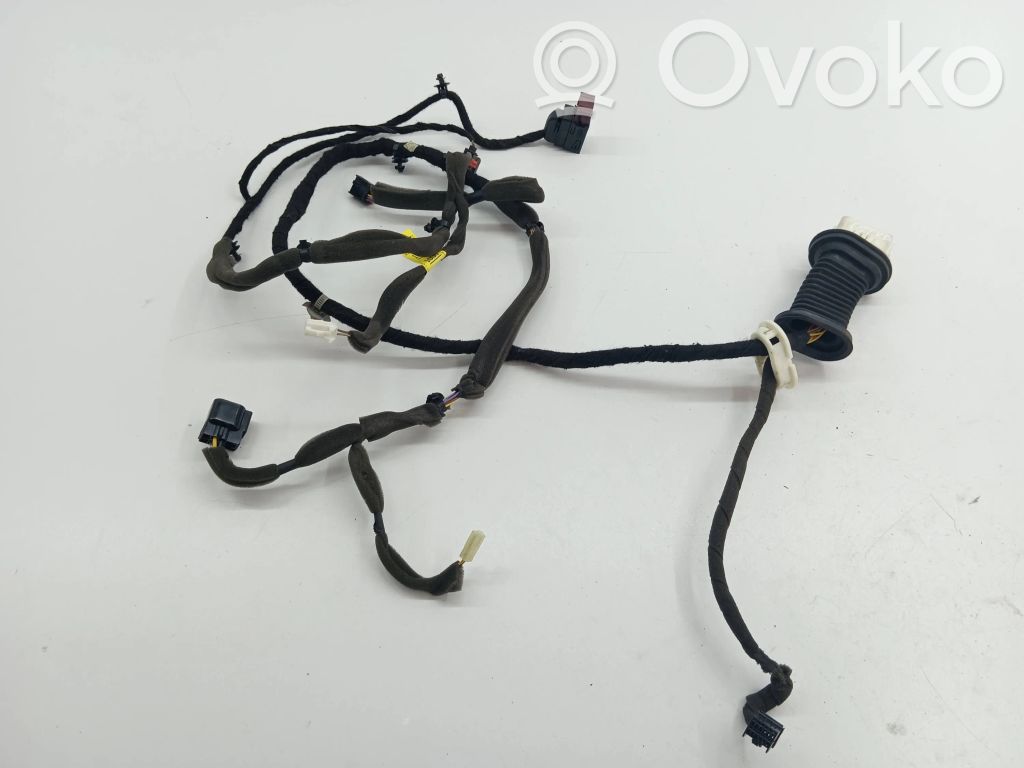 Opel Antara Cableado de puerta delantera 