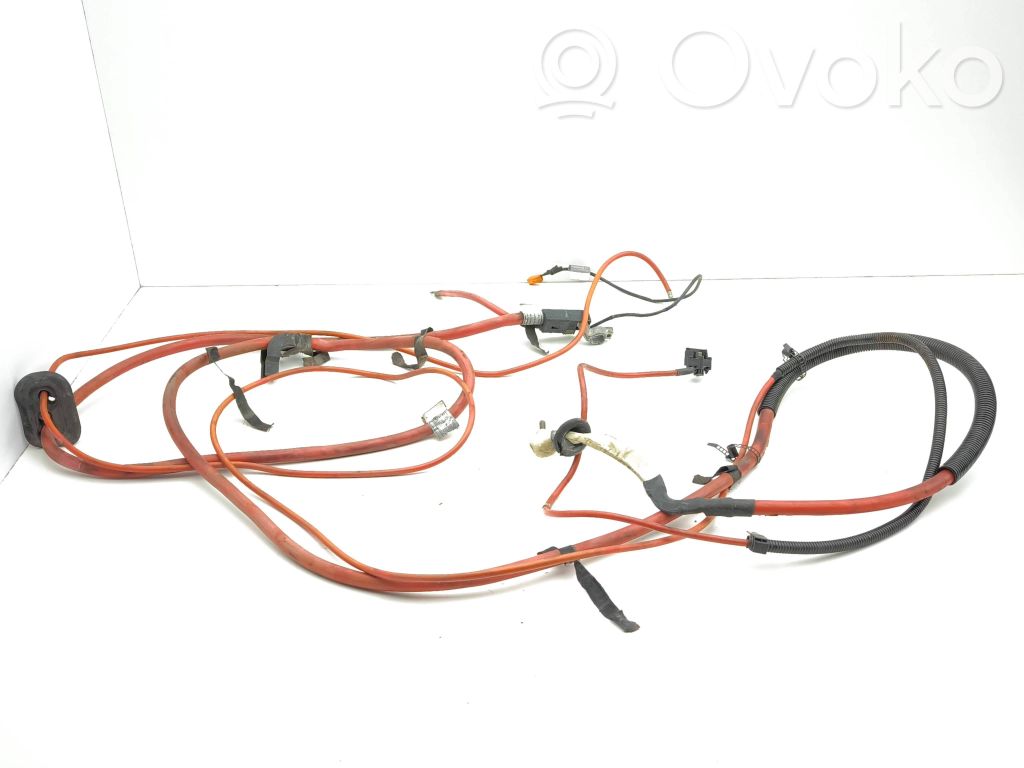 Plusa vads (akumulatora)   2248124