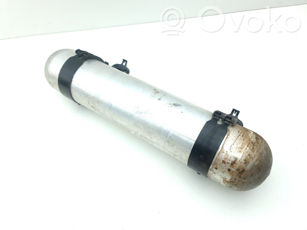 Tesla Model S Rezervor suspensie pneumatică 