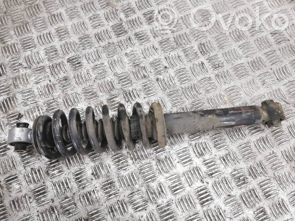 Stoßdämpfer hinten