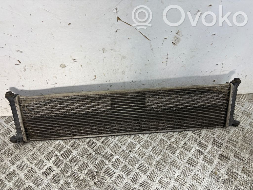 Coolant radiator   600737200A