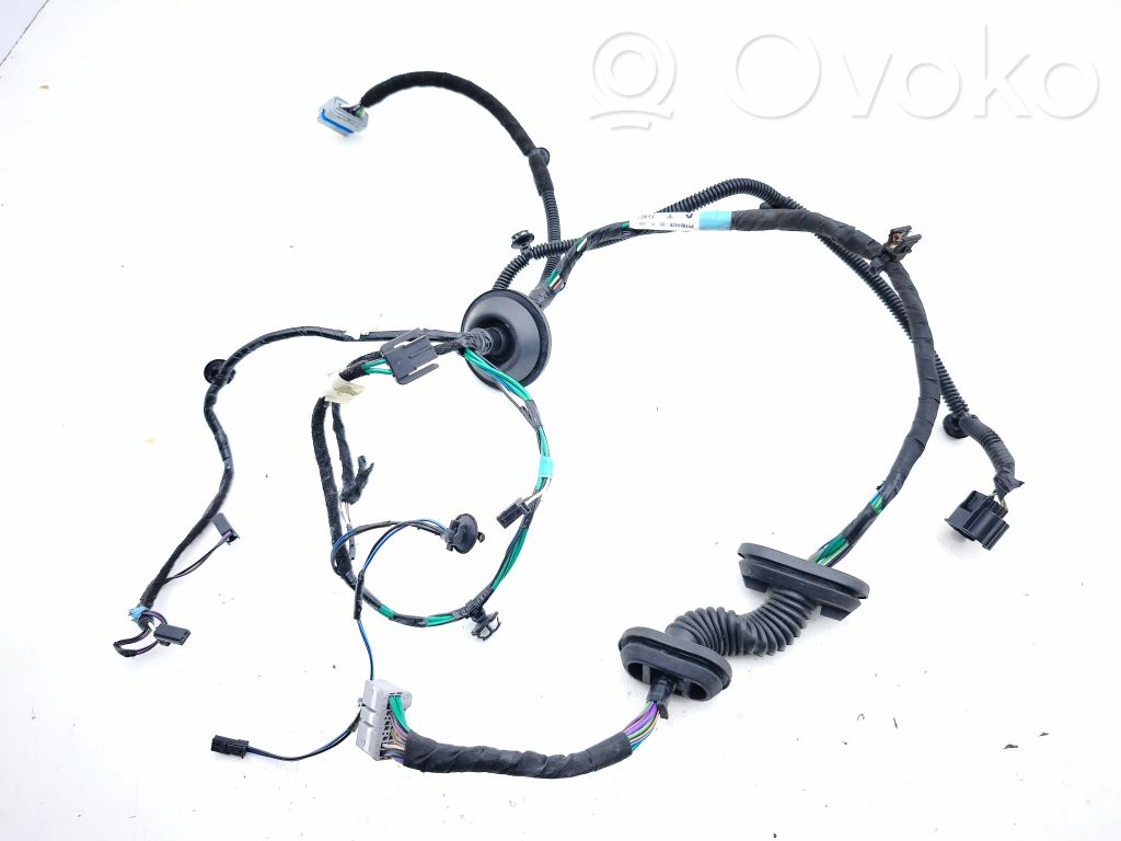 Tesla Model S Cableado de puerta trasera 