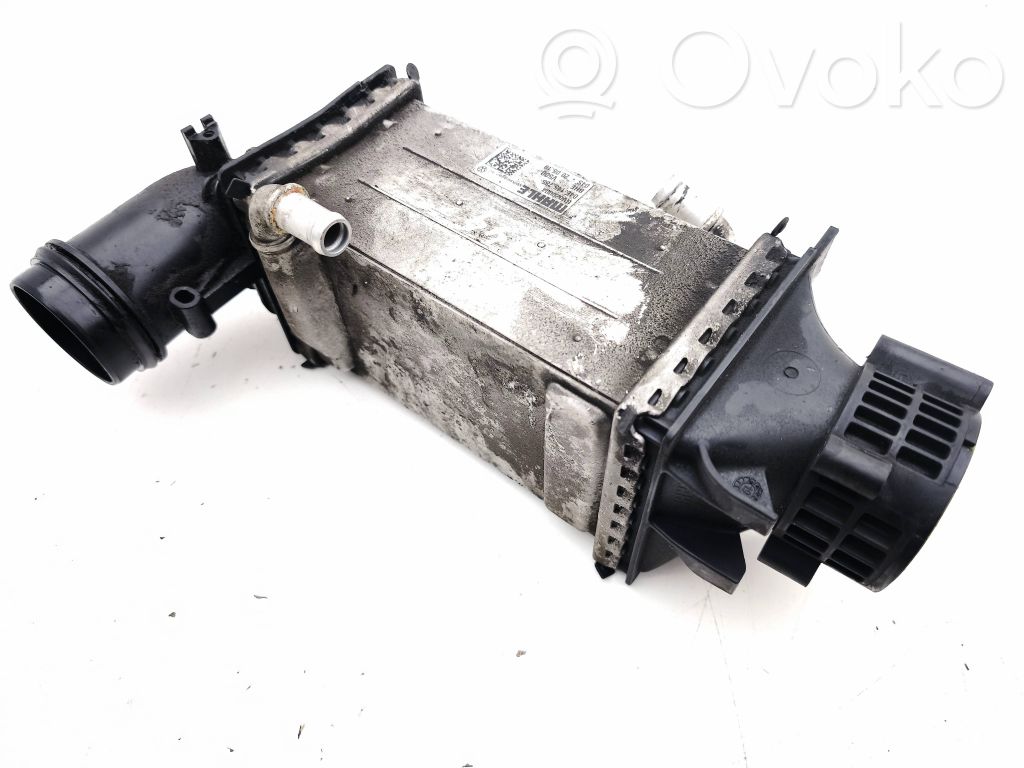 Audi Q3 F3 Refroidisseur intermédiaire 