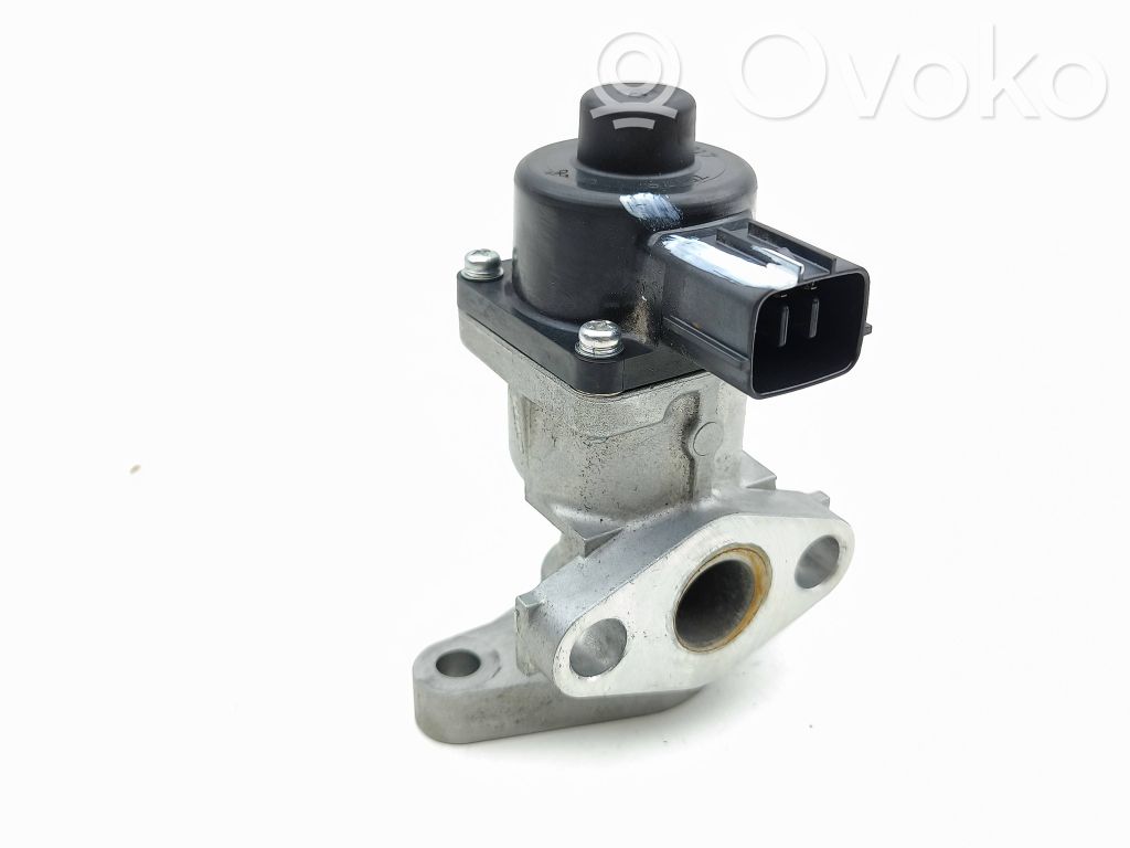 Válvula EGR   79179