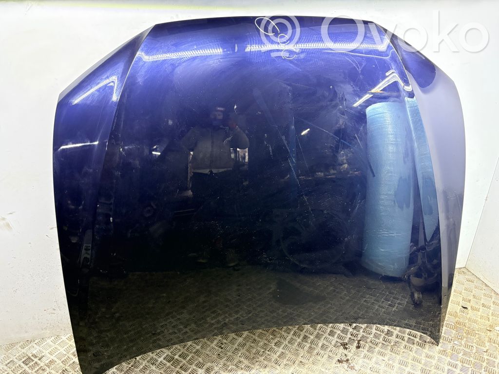 Motorhaube