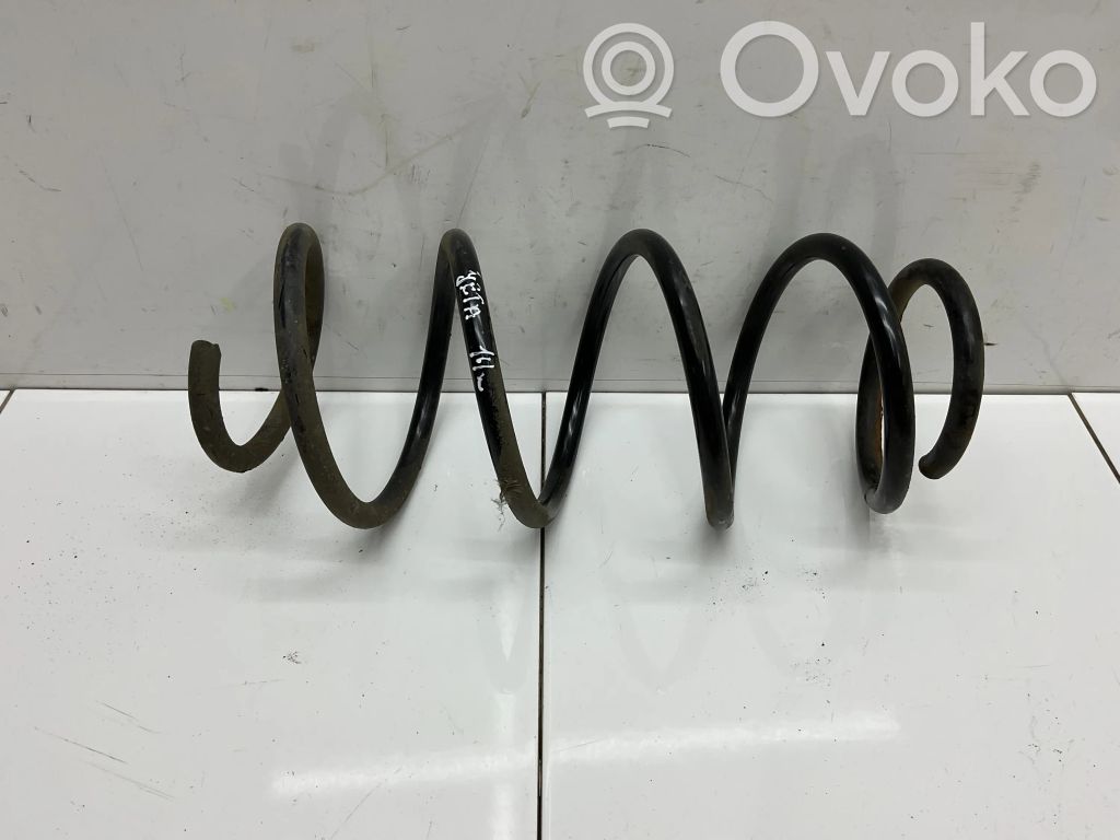 Front coil spring
