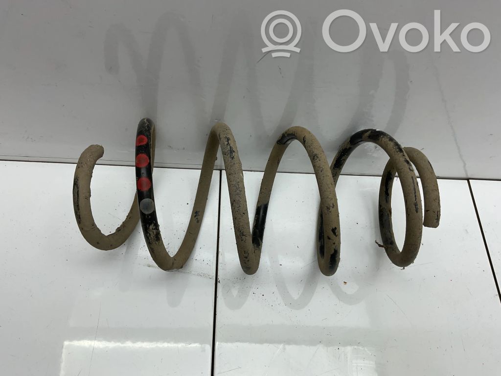 Front coil spring