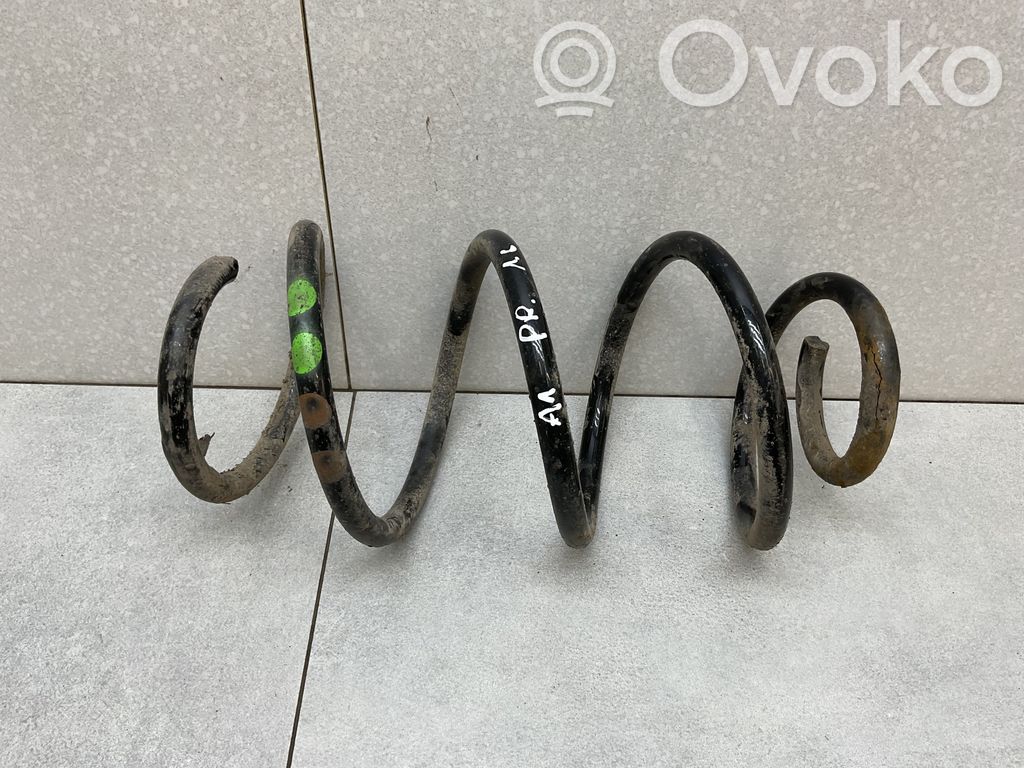 Front coil spring
