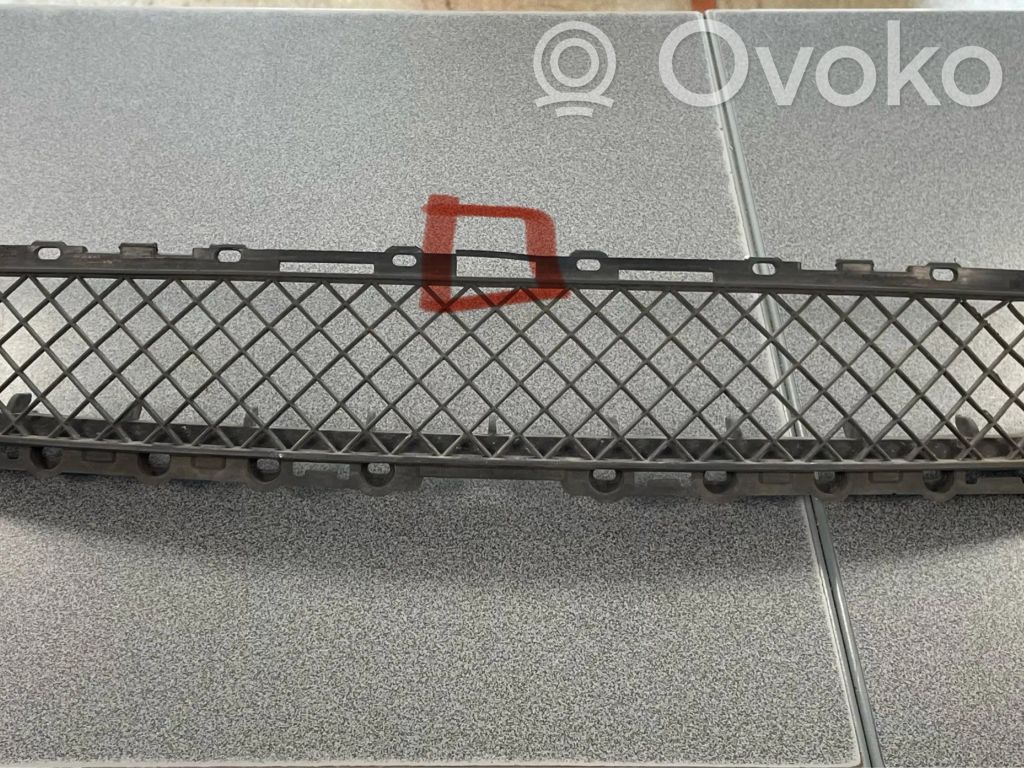 Front bumper lower grill   51118204363